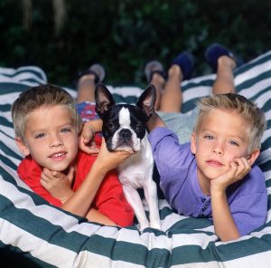 Cole (l) and Dylan Sprouse. The twins starred in “Big Daddy,” with Adam Sandler. Photo by Maureen Donaldson/Online USA, Inc.