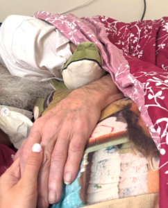 Someone pictured holding Phil Robertson’s hand, dated May 2025 | Source: instagram/legitsadierob