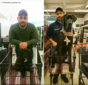 For illustration purposes only.
